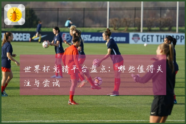 世界杯竞猜平台盘点：哪些值得关注与尝试
