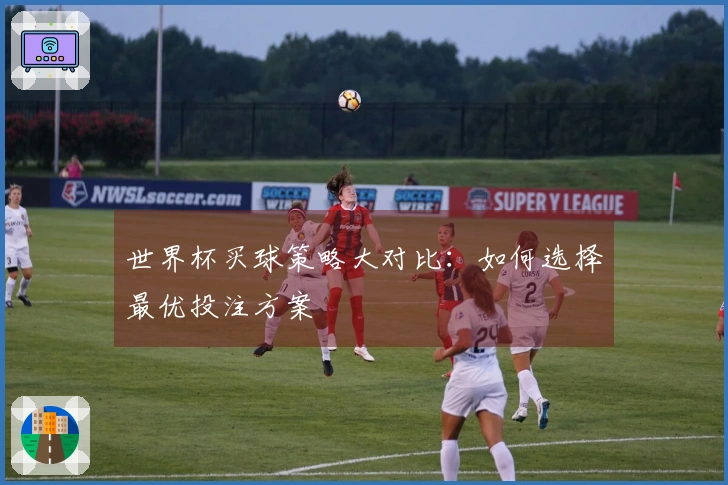 世界杯买球策略大对比：如何选择最优投注方案