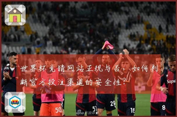 世界杯竞猜网站正规与否，如何判断官方投注渠道的安全性？