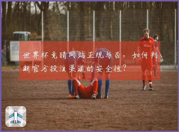 世界杯竞猜网站正规与否，如何判断官方投注渠道的安全性？