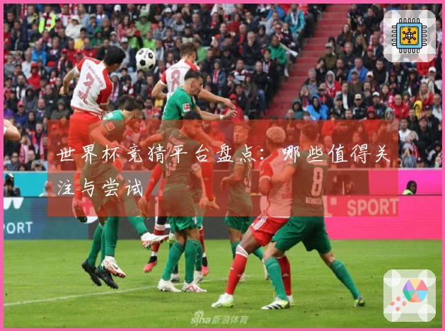 世界杯竞猜平台盘点：哪些值得关注与尝试